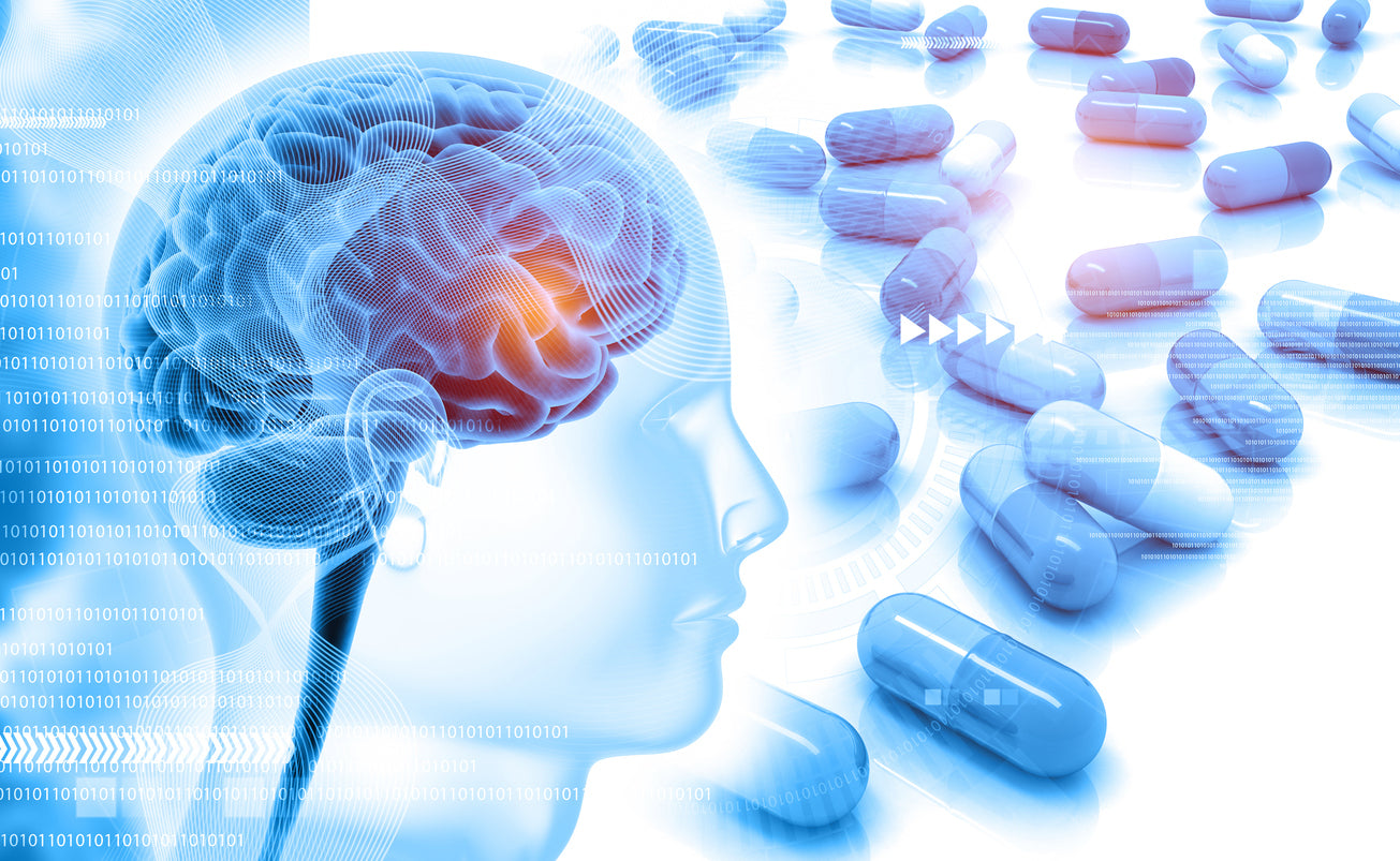 Top Supplements for Sharper Thinking, Better Memory & Lifelong Brain Support