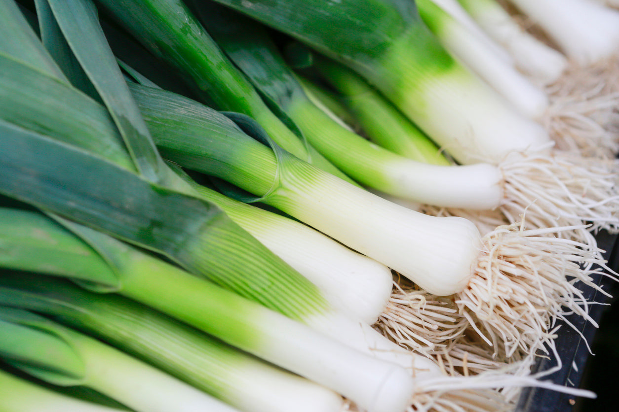 Walk on the mild side: Onion’s gentler “cousins” offer potent health benefits