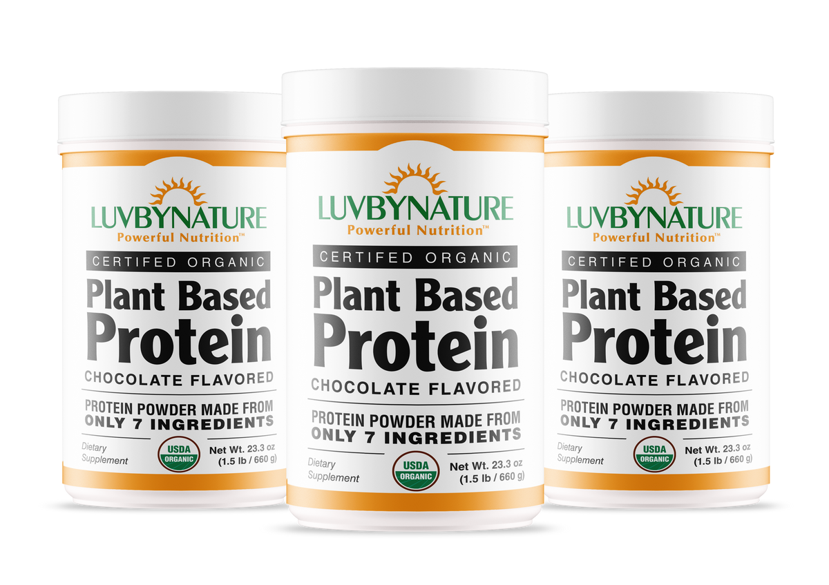 Organic Plant Based Protein Powder Chocolate
