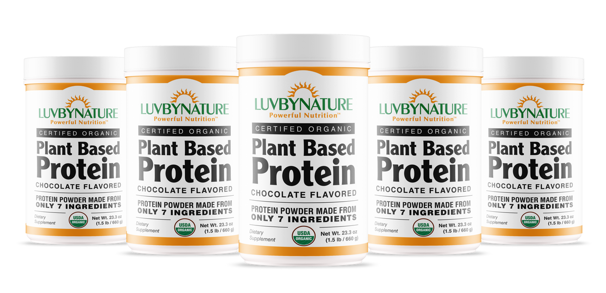 Organic Plant Based Protein Powder Chocolate