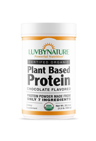 Organic Plant Based Protein Powder Chocolate