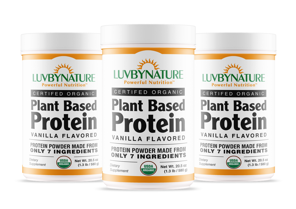 Organic Plant Based Protein Powder Vanilla