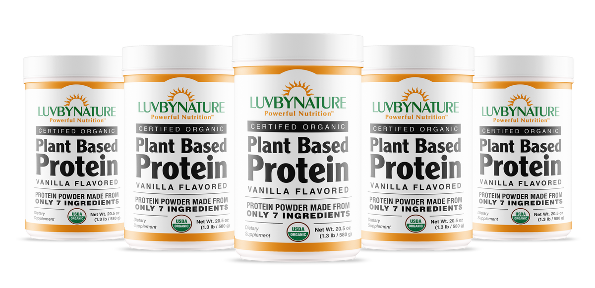 Organic Plant Based Protein Powder Vanilla