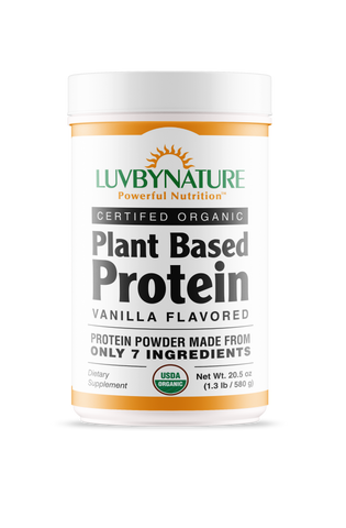 Organic Plant Based Protein Powder Vanilla