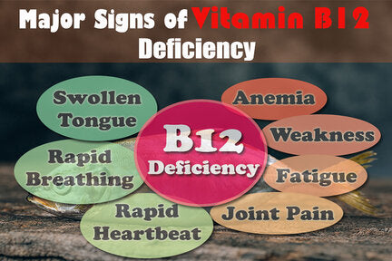 B12 deficiency: Signs, symptoms, and how to increase your levels