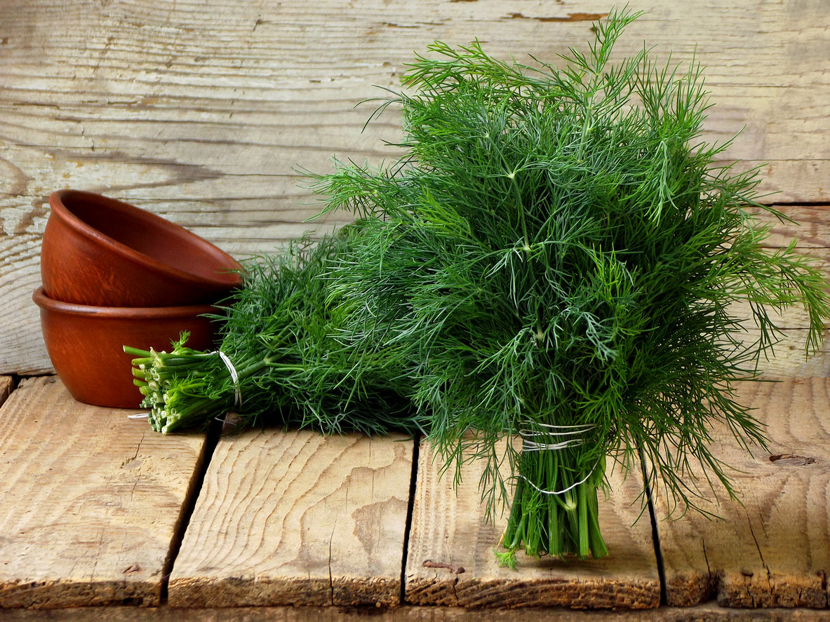 Chill out with an herb that acts like a natural antidepressant