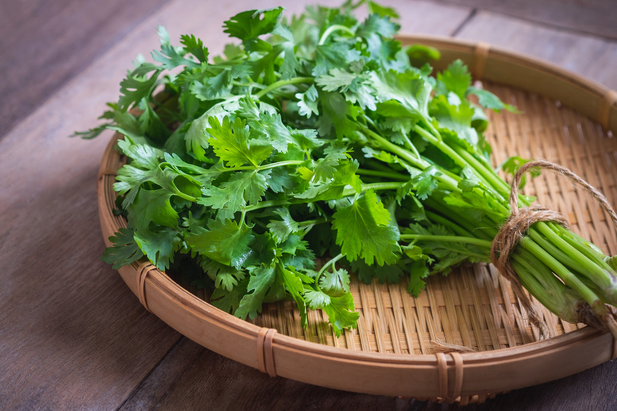 Cilantro protects against cancer-causing compounds in grilled meat