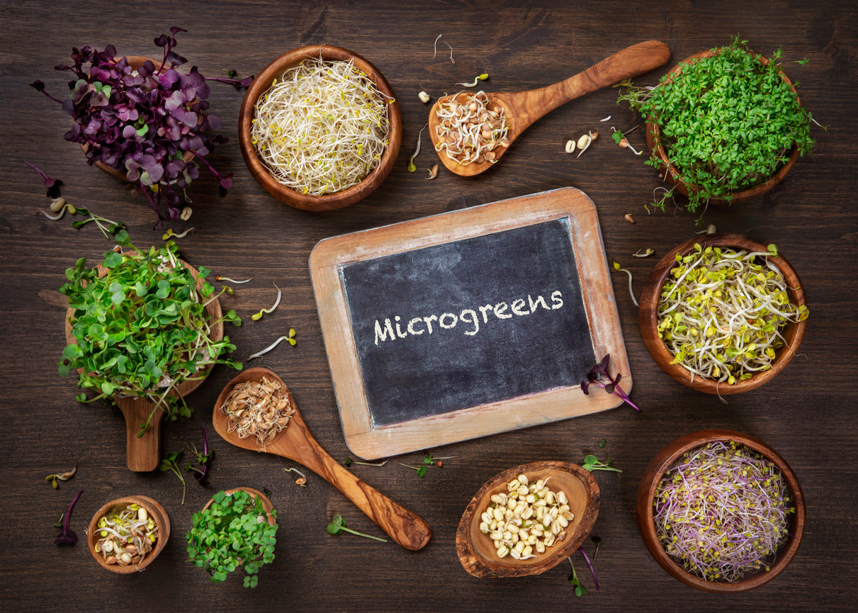 Discover the nutritional power of microgreens