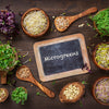 Discover the nutritional power of microgreens