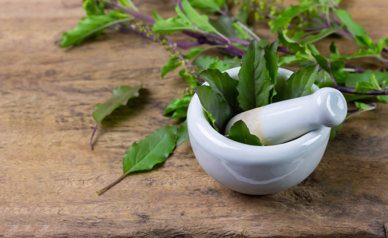 The surprising stress-busting, mood-lifting benefits of holy basil