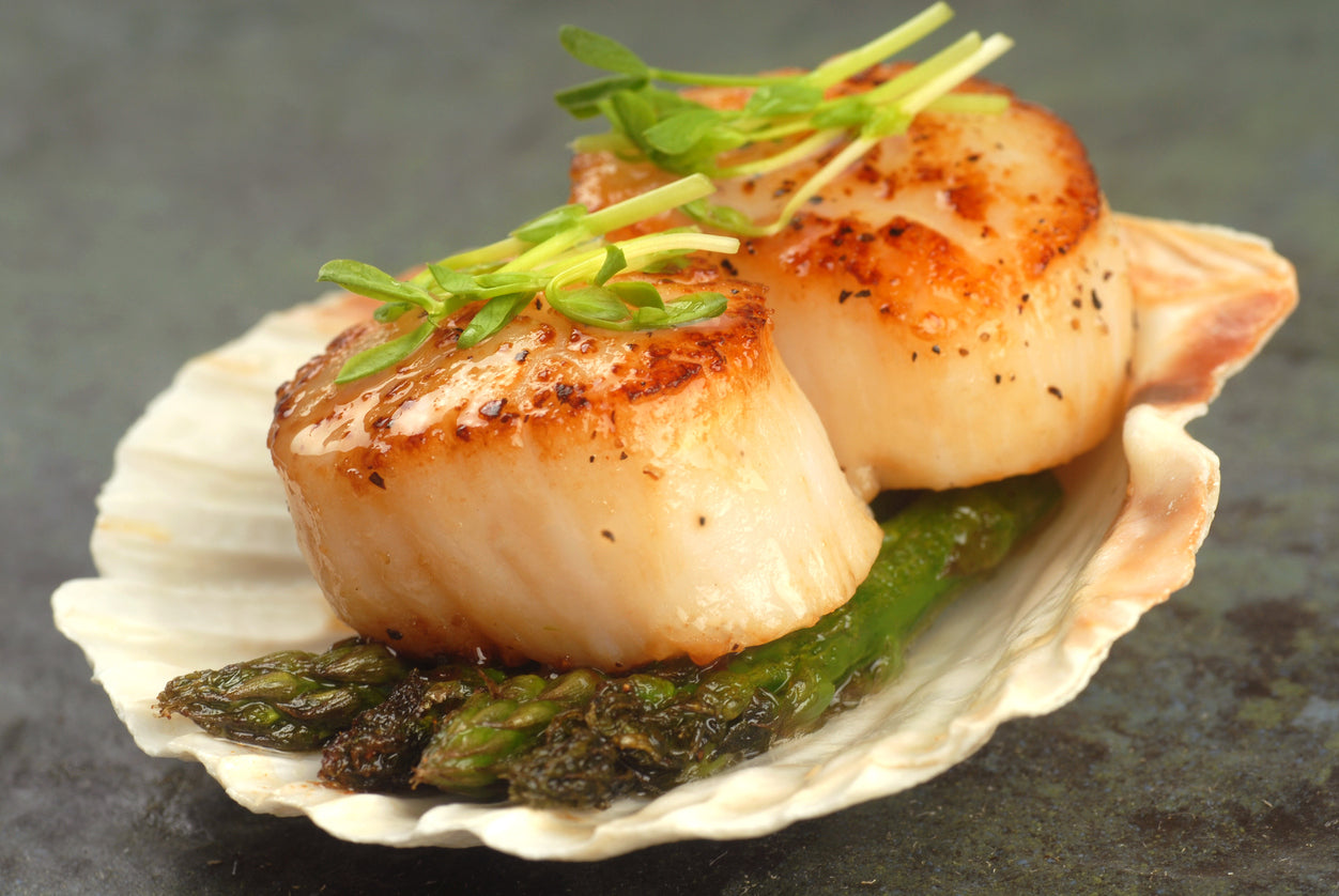 “Mighty mollusks” – succulent scallops offer a “wallop” of nutrition
