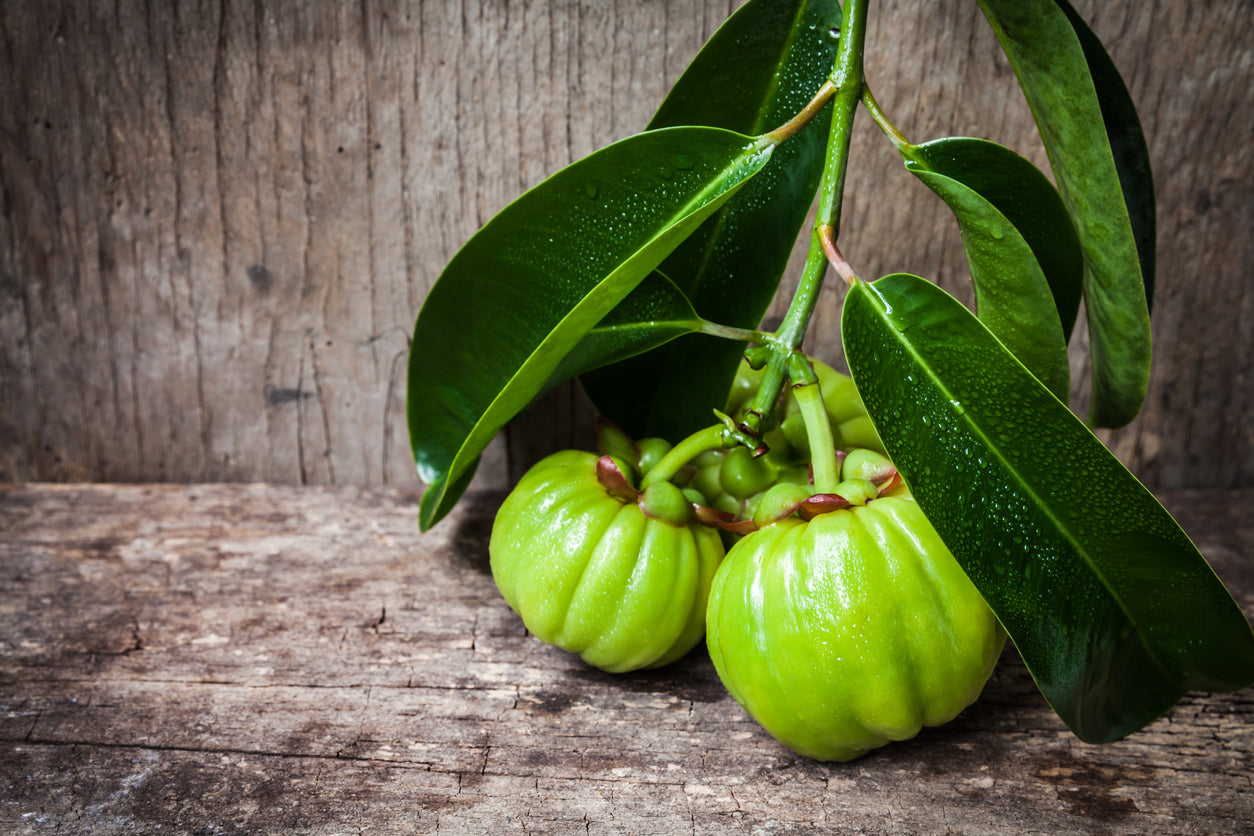 Garcinia cambogia UPDATE: What’s the latest “buzz” about this intriguing supplement?